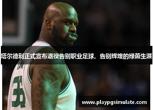 塔尔德利正式宣布退役告别职业足球,告别辉煌的绿茵生涯 塔尔德利正式宣布退役告别职业足球,告别辉煌的绿茵生涯